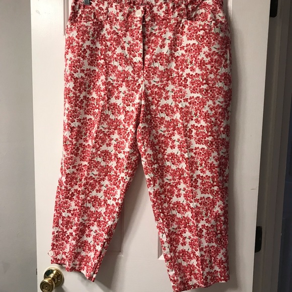 laura scott pants plus size